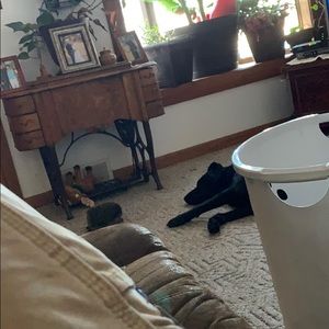 Meet your Posher, Clay